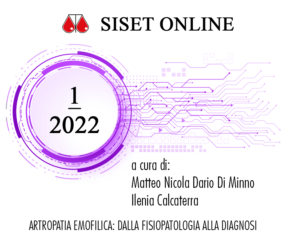Siset online 1/2022