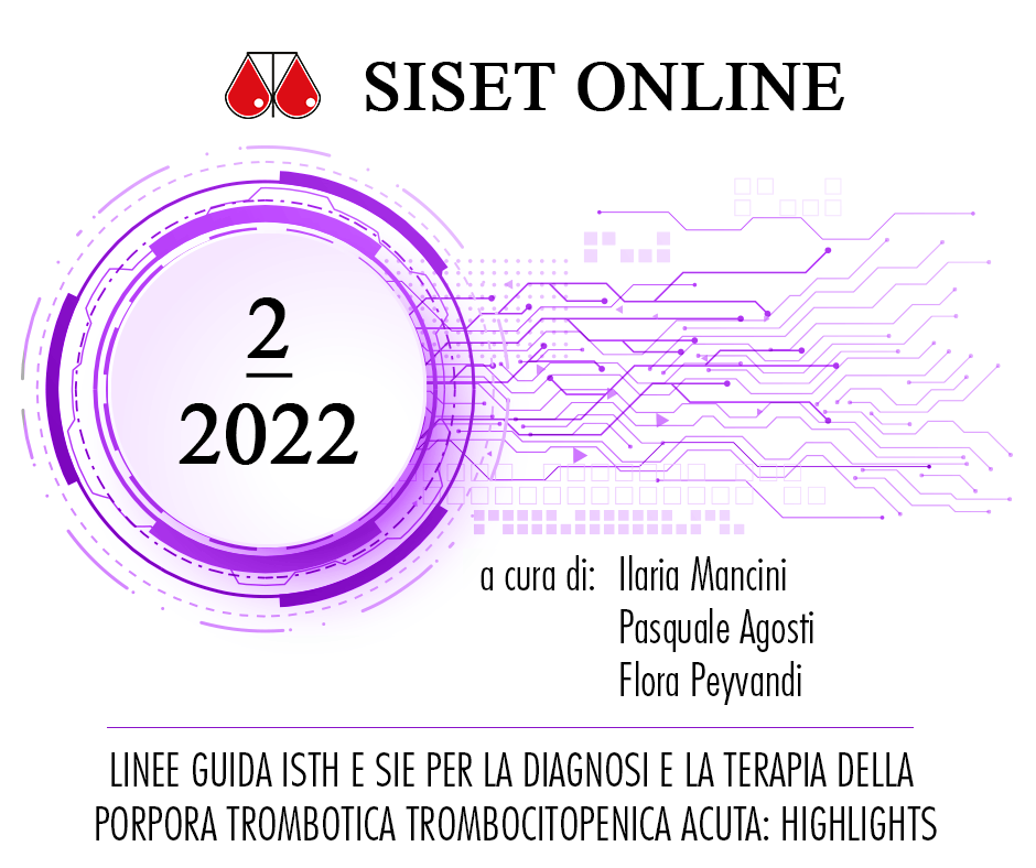Siset online 2/2022