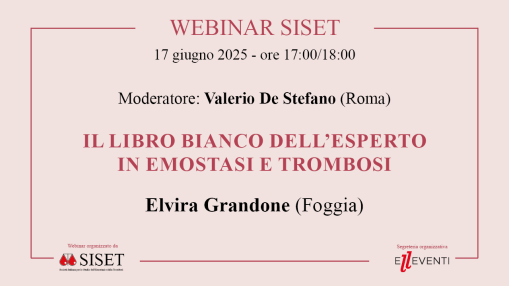 Webinar SISET